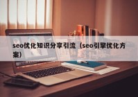 seo优化知识分享引流（seo引擎优化方案）